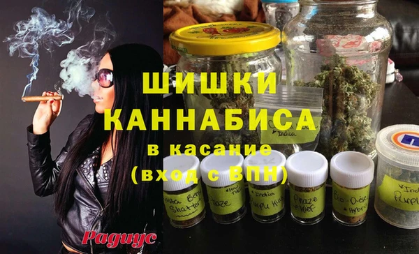 крисы Майский