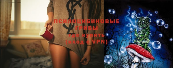 крисы Майский