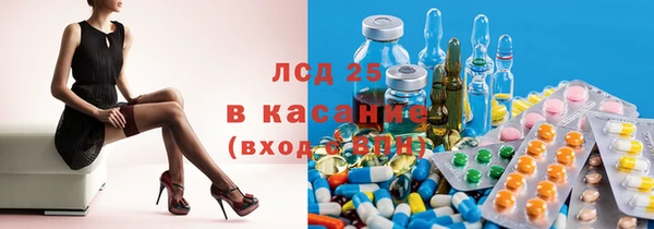 крисы Майский