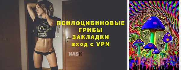 твердый Лабытнанги