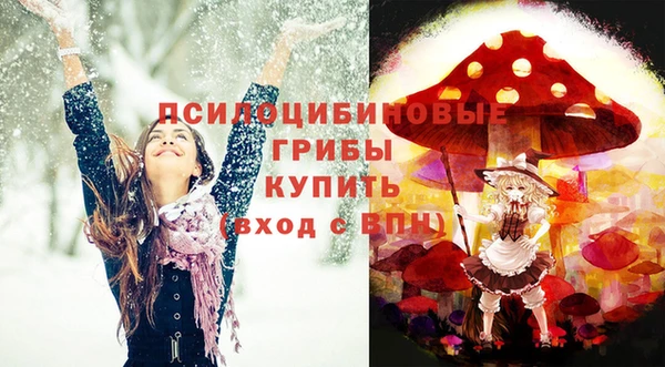 крисы Майский