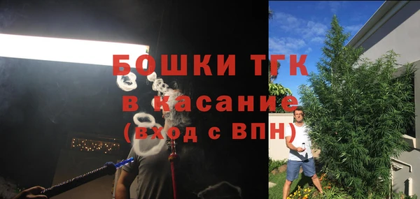 прущие крисы Магас