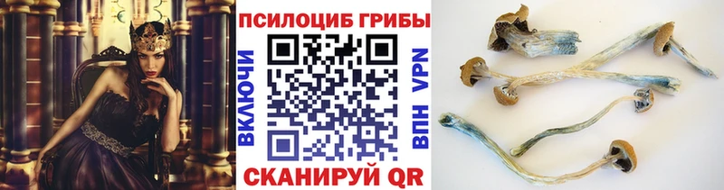 кракен маркетплейс  купить наркотики сайты  Невельск  Псилоцибиновые грибы GOLDEN TEACHER 