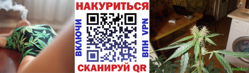 блэк спрут сайт  Невельск  Каннабис сатива 
